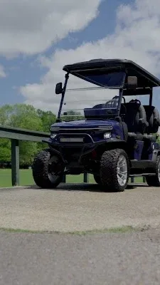 Bayou Buggies