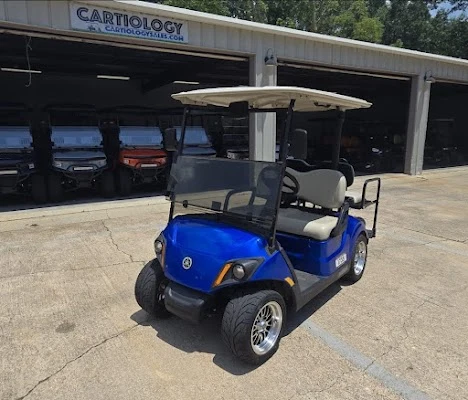 Cartiology Golf Cart Sales
