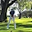 Cruise Custom Golf Cars