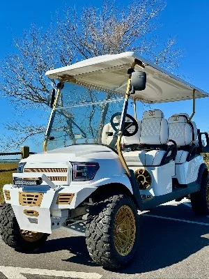 Dr. Golf Carts